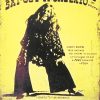 Dekoratiivne metallist silt "JANIN JOPLIN" 300*200mm - Image 2