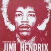 Dekoratiivne metallist silt "JIMI HENDRIX" 300*200mm - Image 2