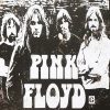 Dekoratiivne metallist silt "PINK FLOYD POMPEII" 300*200mm - Image 2