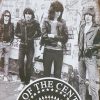 Dekoratiivne metallist silt "RAMONES STORY" 300*200mm - Image 2