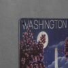 Dekoratiivne metallist silt "WASHINGTON" 200*300mm - Image 3