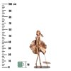 Lauakaunistus TÜDRUK VIHMAVARJUGA, H590 * L360mm, metallist skulptuur - Image 3