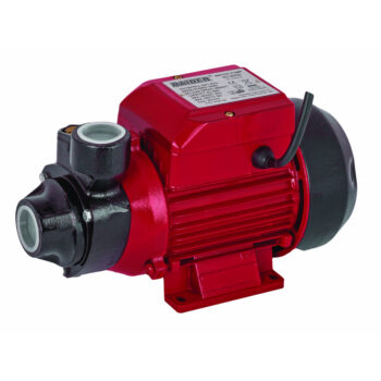 Raider RD-WP60 perifeerpump (survepump) – 500 W, 1", kuni 35 m tõstekõrgus