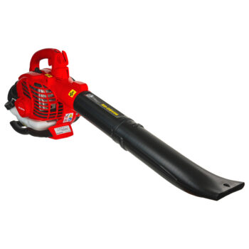 Raider RD-GBV06 bensiinipuhur-imur – 750 W, 45 l kott, 2-ühes funktsioon - Image 9