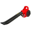 Raider RD-GBV06 bensiinipuhur-imur – 750 W, 45 l kott, 2-ühes funktsioon - Image 10